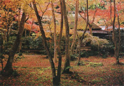 祇王寺