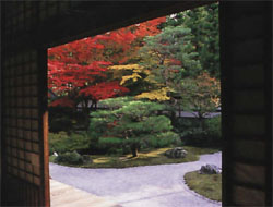 泉桶寺