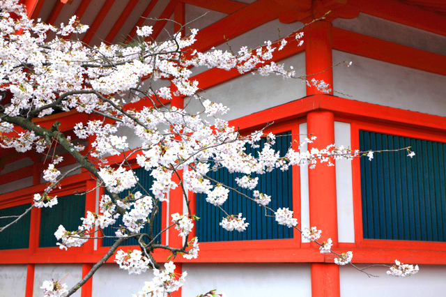 京都の寺院