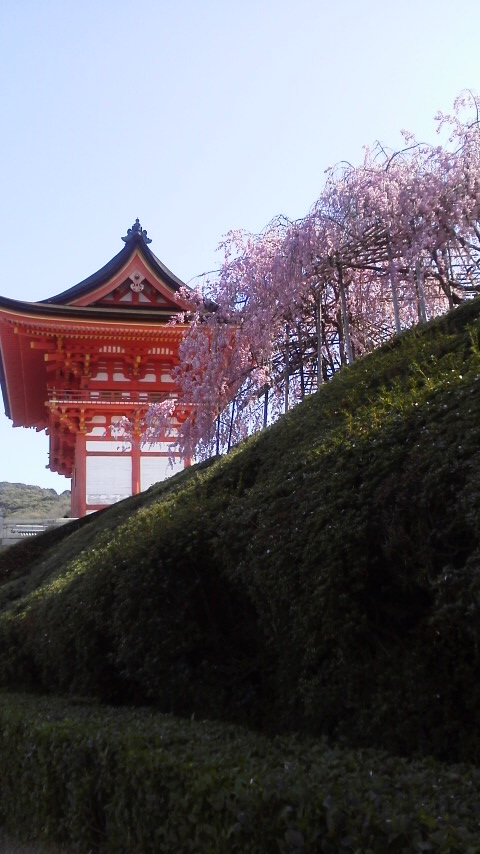 清水寺(第16番札所)