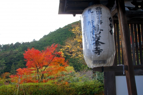 善峰寺(第20番札所)