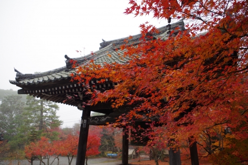 穴太寺(第21番札所)